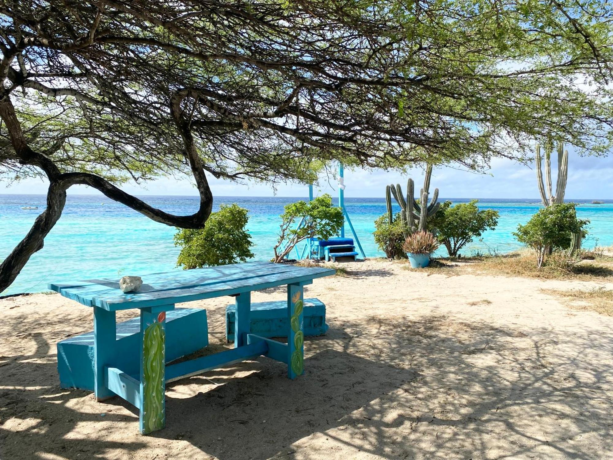 Willa Casa Azure Aruba Palm Beach Zewnętrze zdjęcie